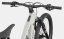 CANNONDALE Moterra 3 chalk
