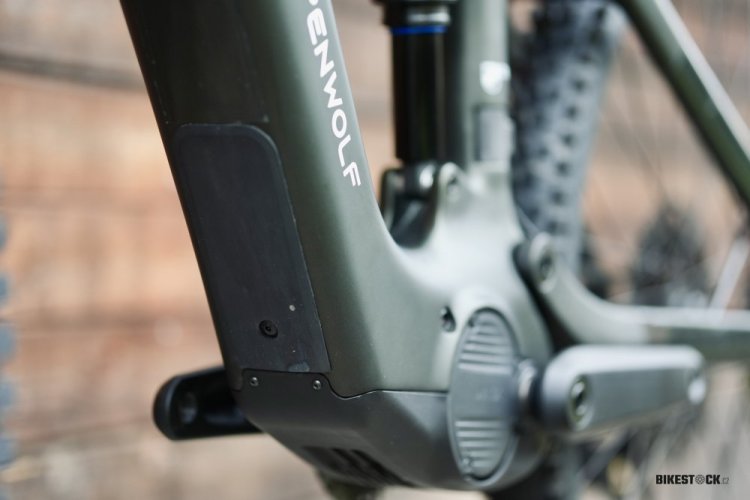 STEPPENWOLF Tundra 9.0 DJI moss green gloss/matt