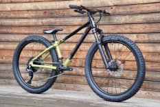 Rocky Mountain Vertex Jr 24