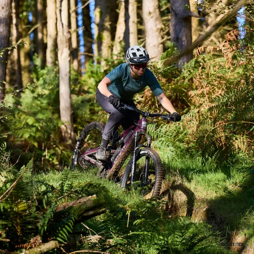 WHYTE ELyte EVO RS
