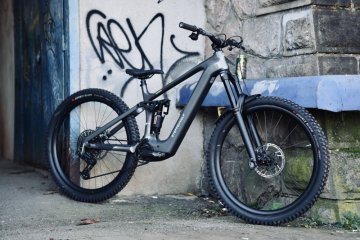 Steppenwolf Tundra 10.0 Avinox