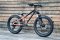 Rocky Mountain Vertex Jr 20