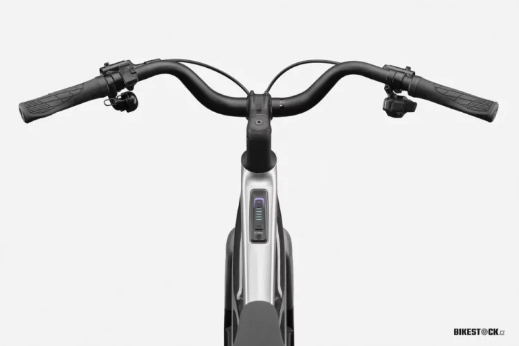 CANNONDALE FlyingV 1