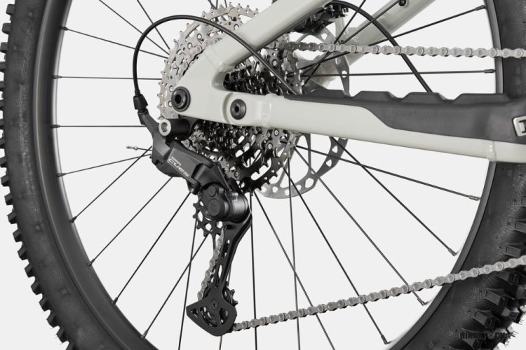 CANNONDALE Moterra 3 chalk