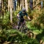 WHYTE ELyte EVO RS