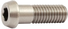 čep motoru STePS E8000 M8x27 mm imbus