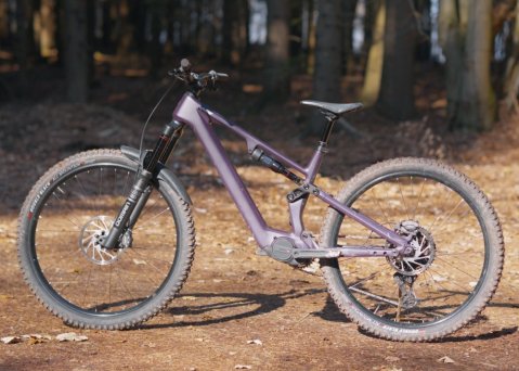 Apache Eagle / Avinox M2S