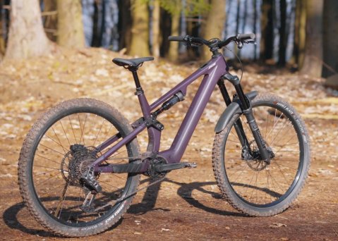 Apache Eagle / Avinox M2S