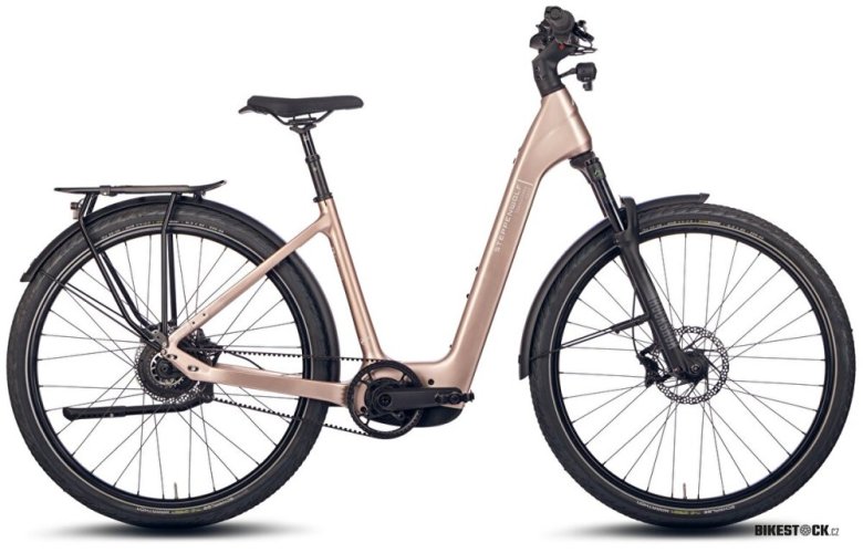 STEPPENWOLF Transterra Easy 9.0 DJI champagne gloss