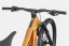 CANNONDALE Moterra 4 tiger eye