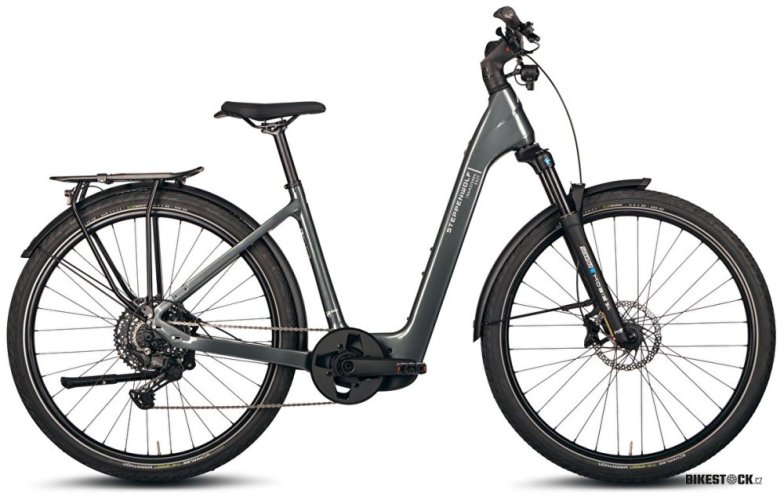 STEPPENWOLF Transterra Easy 9.1 DJI titanium grey gloss