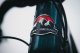 Rocky Mountain Altitude 2024