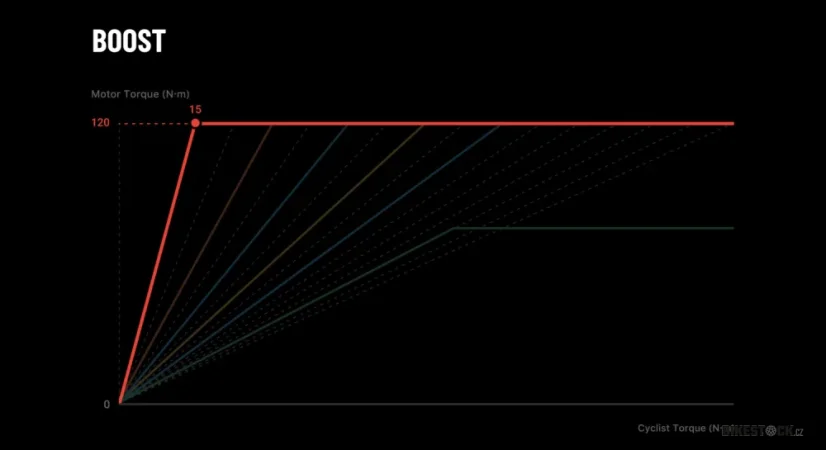 STEPPENWOLF Tundra 9.0 DJI moss green gloss/matt