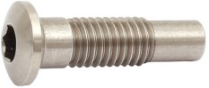 čep motoru STePS E8000 M8x31,5 mm imbus