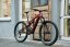 ROCKY MOUNTAIN Altitude Powerplay Alloy 30 C1