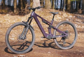 Apache Eagle / Avinox M2S