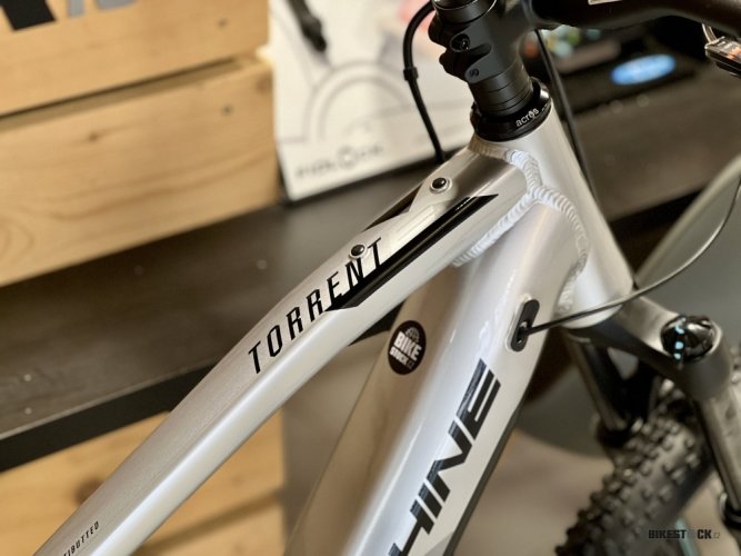 elektrokolo ROCK MACHINE Torrent e30-29 stříbrná/šedá