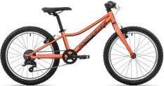 kolo Rock Machine Catherine 20 VB coral