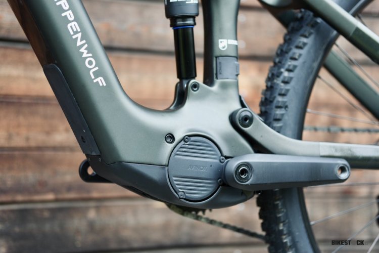 STEPPENWOLF Tundra 9.0 DJI moss green gloss/matt