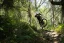 WHYTE Karve RSX gloss black/matt black