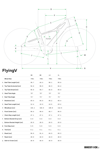CANNONDALE FlyingV 1