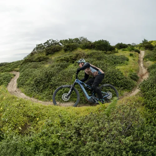 WHYTE Kado S (800 Wh) aston green